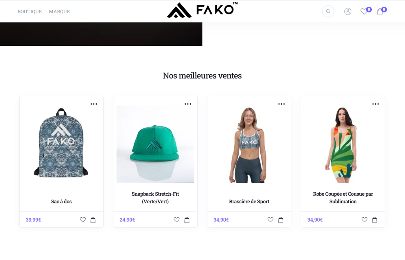 CAPTURE DU SITE FAKO